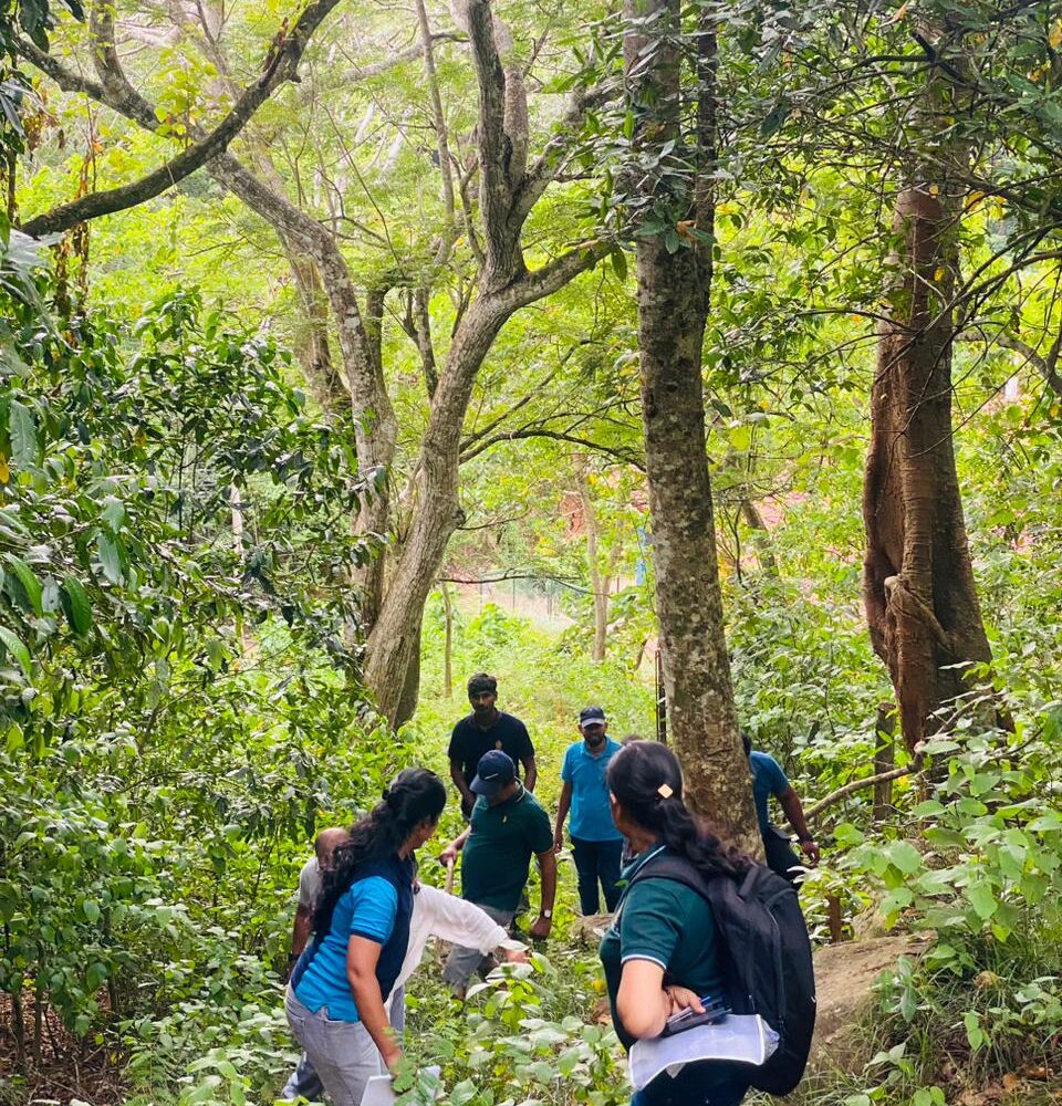 WhatsApp Image 2025-11-08 at 22.10.09