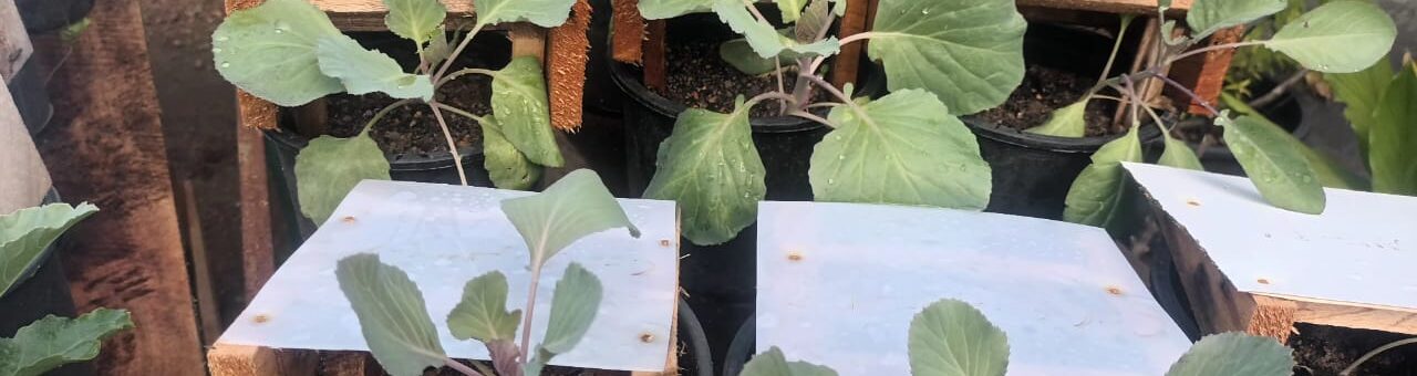 WhatsApp Image 2025-11-21 at 12.50.49 (1)